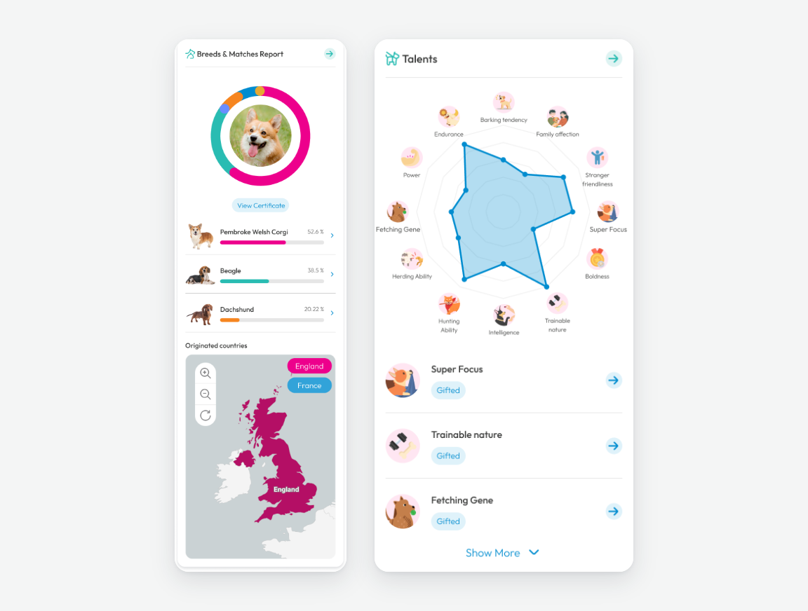 DNA report — breed mix with countries of origin, and a talents radar chart with the strongest traits listed below